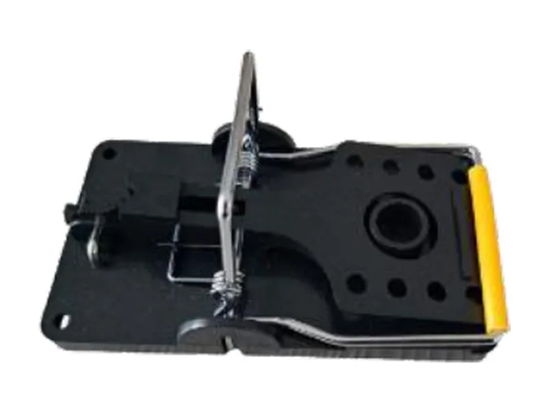 Lot de 5 tapettes à rat